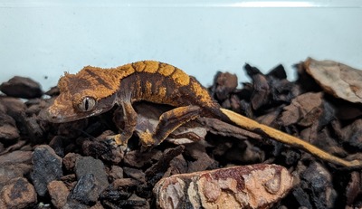 PXL_20251009_140953106~2