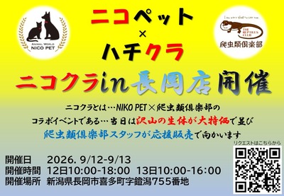 2026.9.12.13�˥�����