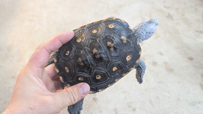 PXL_20251127_073051655~2