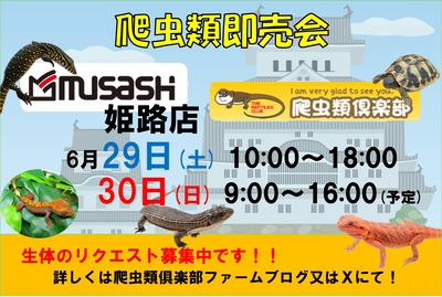 ムサシ姫路店イベント