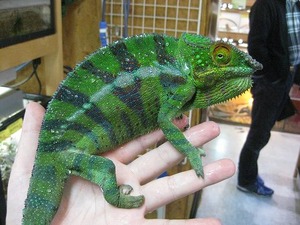 IMG_5517