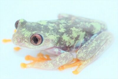 IMG_0970 (2)