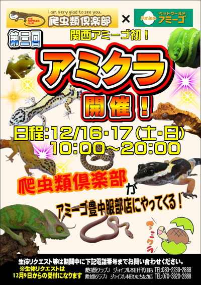 Âè»°²ó¥¢¥ß¥¯¥é+