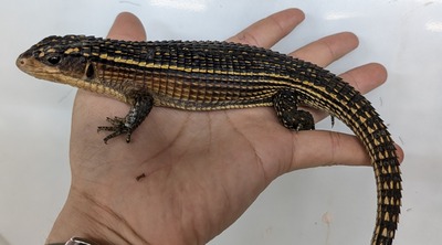 PXL_20251008_120217488~2