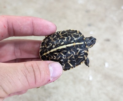 PXL_20251127_052345622~2