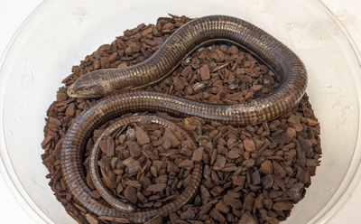 PXL_20251009_063023396~2