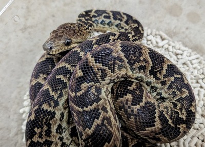 PXL_20251010_091929075