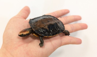 PXL_20251009_062753208~2