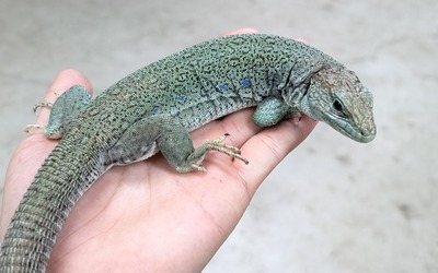 PXL_20251127_145147964~2