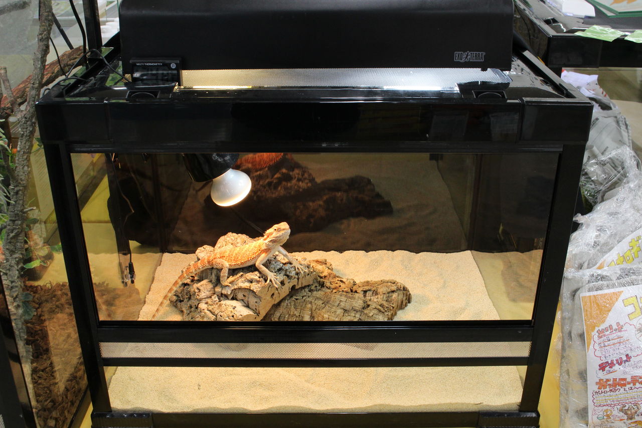 爬虫類ケージ 90×45×45㎝ 送料込み リクガメ フトアゴ ゲージ 小動物 