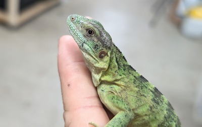 PXL_20251010_115831515~2