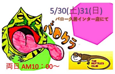2026.5�� �׵磻�󥿡�Ź