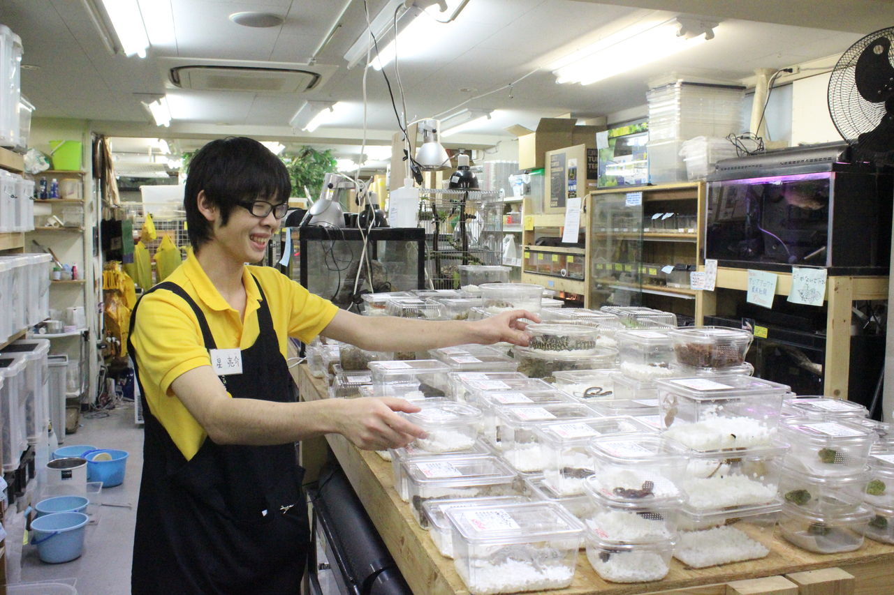 爬虫類 倶楽部 仙台 店