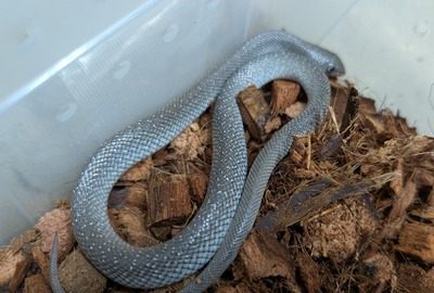 PXL_20251008_120001342~2