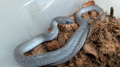 PXL_20251008_120010517~2