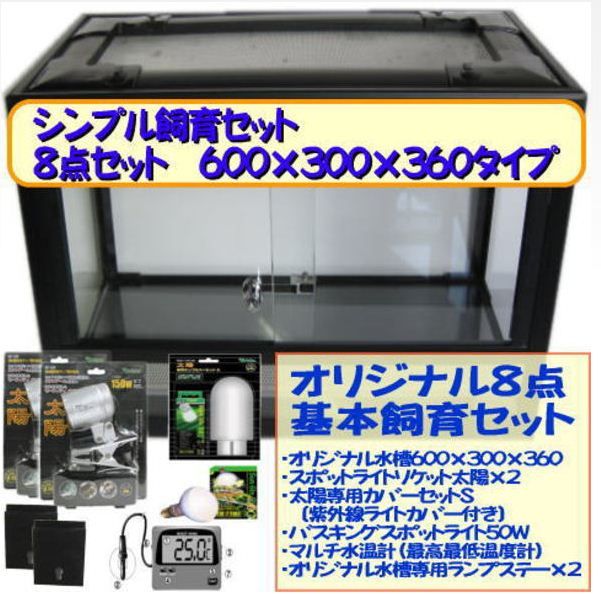 オリジナルケージ 入荷しました : 爬虫類倶楽部ファームブログ