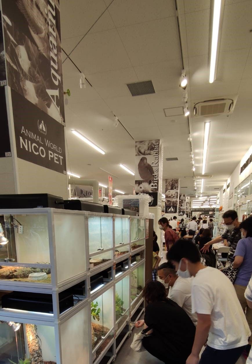 スーパービバホーム ニコペット美原南店 オープン 爬虫類倶楽部ファームブログ スーパービバホーム ニコペット美原南店 オープン 爬虫類倶楽部ファームブログ