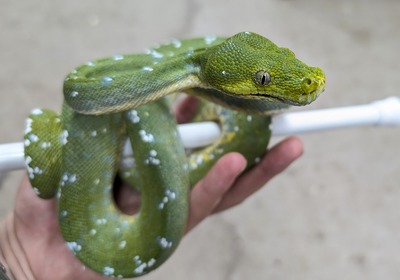 PXL_20251010_134115374~2