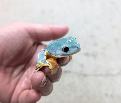 PXL_20251127_110421604~2