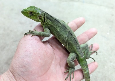 PXL_20251010_065418029~2