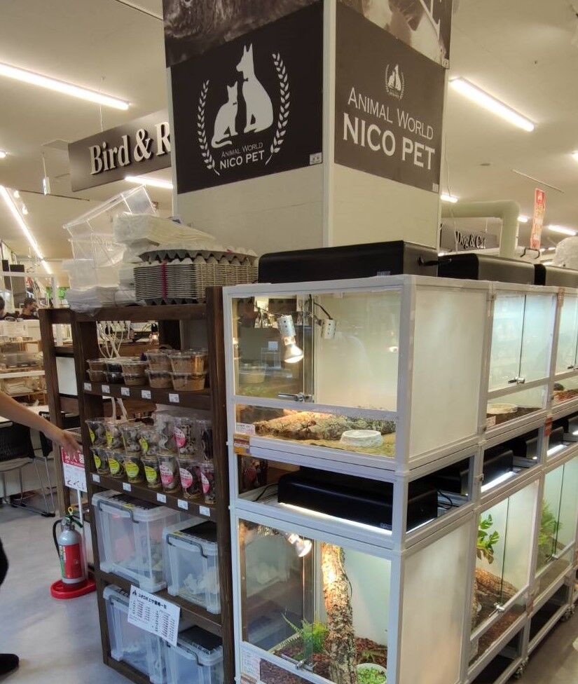 スーパービバホーム ニコペット美原南店 オープン 爬虫類倶楽部ファームブログ スーパービバホーム ニコペット美原南店 オープン 爬虫類倶楽部ファームブログ