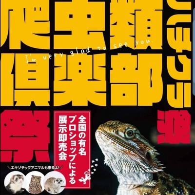 �ϥ������