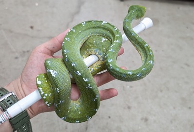 PXL_20251010_134119197~2