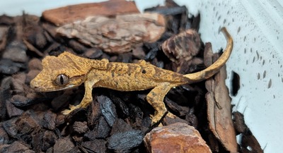 PXL_20251009_141023741~2