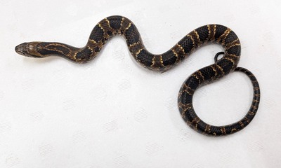 PXL_20251008_112834107~2