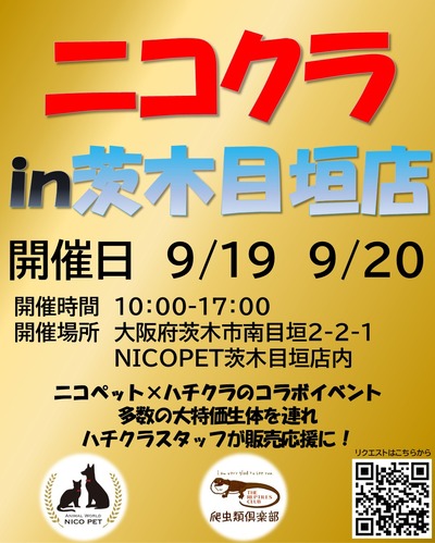�˥�����2026.9.19.20