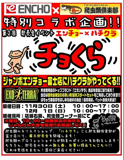 �裲����礯����ٻ�Ź�˹���