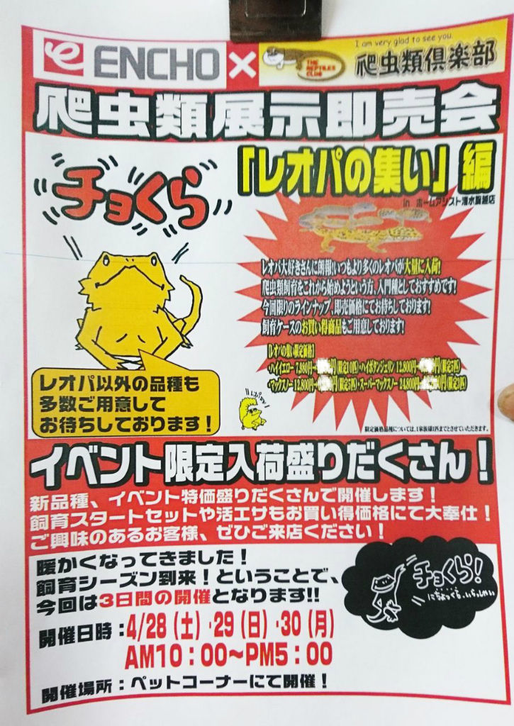4 28 土 29 日 30 月 チョくらinha清水駒越店 レオパの集い 爬虫類倶楽部ファームブログ 4 28 土 29 日 30 月 チョくらinha清水駒越店 レオパの集い 爬虫類倶楽部ファームブログ