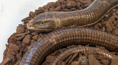 PXL_20251009_063019589