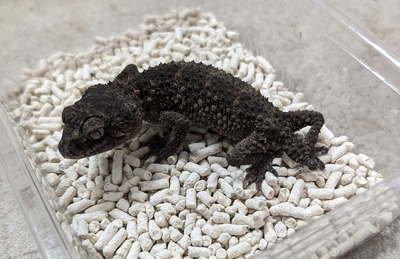 PXL_20251127_150545847