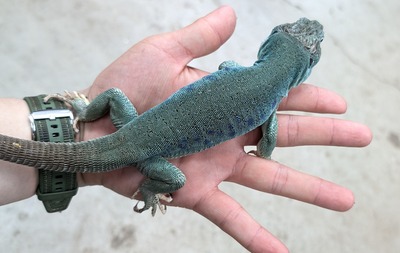 PXL_20251127_145010469~2