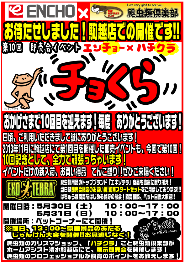 チョくらのお知らせ 第１弾 爬虫類倶楽部ファームブログ