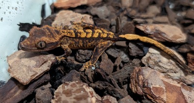 PXL_20251009_140751250~2