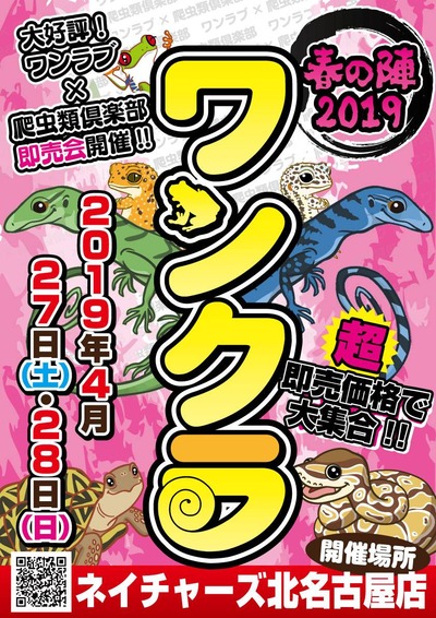 20190424011416