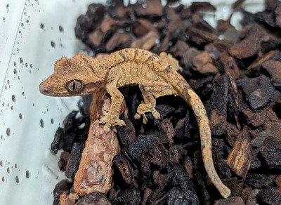 PXL_20251009_140826396~2