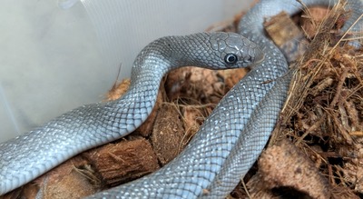 PXL_20251008_120020452~2