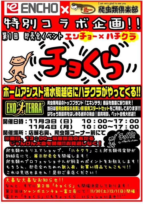�裱����礯��ʶ��Ź�ˡ�����