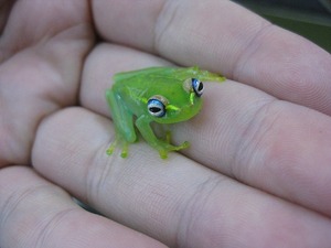 IMG_3340