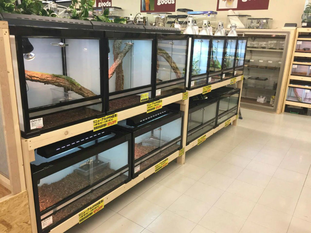 引き取り限定】爬虫類倶楽部 オリジナル ケージ ハチクラオリジナルケージ