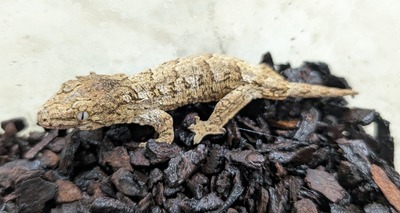 PXL_20251127_110941171~2