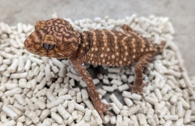 PXL_20251127_160156453~2