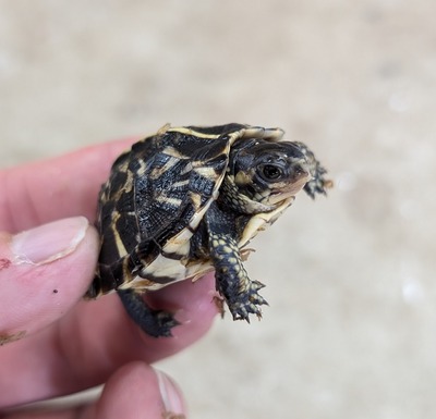 PXL_20251127_052351534~2