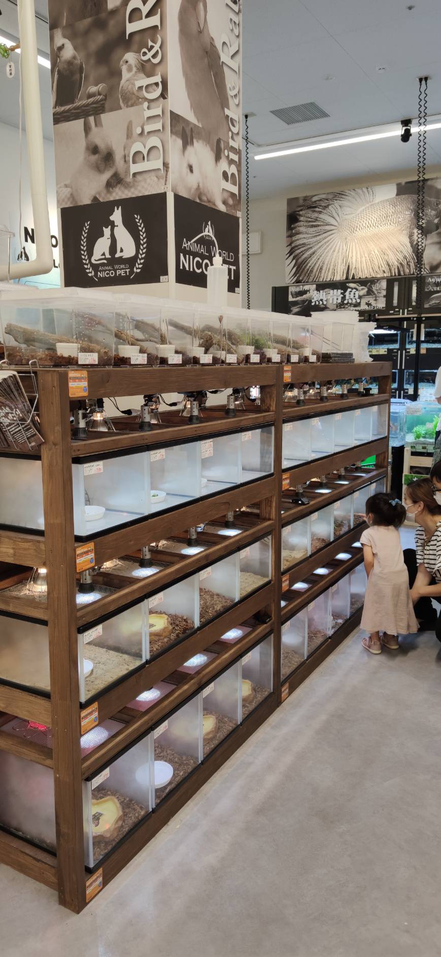 スーパービバホーム ニコペット美原南店 オープン 爬虫類倶楽部ファームブログ スーパービバホーム ニコペット美原南店 オープン 爬虫類倶楽部ファームブログ