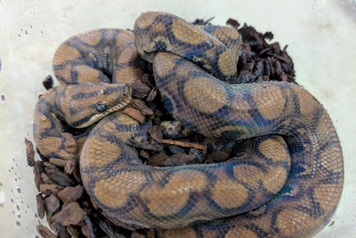 PXL_20251010_080122485~2