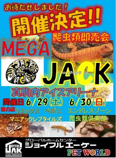 MEGAJACK