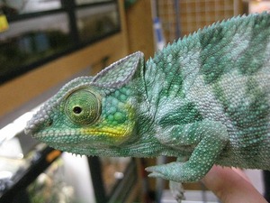 IMG_5533